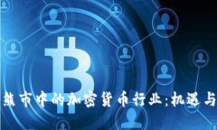 解读熊市中的加密货币行业：机遇与挑战